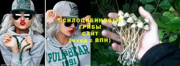 СК Михайловск
