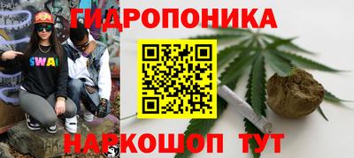 стаф Волгодонск