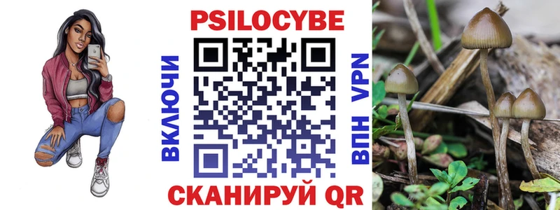 ОМГ ОМГ ТОР  как найти   Череповец  Галлюциногенные грибы прущие грибы 